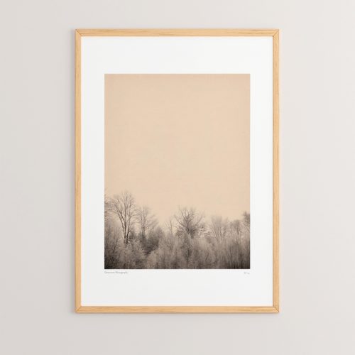 Πίνακας Quany pakoworld με ψηφιακή εκτύπωση και πλαίσιο 33x1.5x48εκ