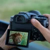 Photographer holds a DSLR; the flip-out screen shows a close-up image of a lion in tall grass outdoors.