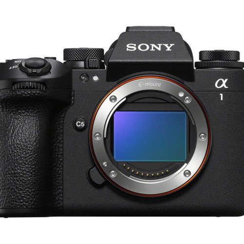 Sony α1 mirrorless camera body with lens mount exposed as front view